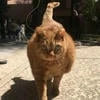 номер13