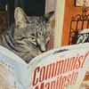 Ратников