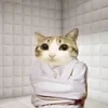 сухарик ёпта плят