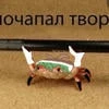 Креветка Терра