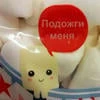 попка_бобра