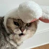Злой-кот