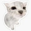 Who_Is_MichelleXD