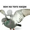 Jesvija