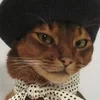 Catrierra