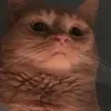 Luna Aburrida