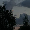 8Rue_Alex8