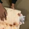 Кощька._.