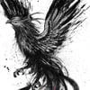 Merdered_fenix_202_404