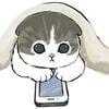 norii_5555