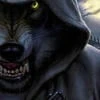 Jax Wolf