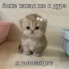 Varfolomeeva