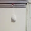 Жызн бол