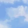 Misha_fd_ff