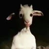 Idiotin
