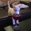 Брошенный котэ