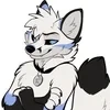 HoodyFurr