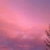 AfinaGrant-Nesh