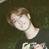sungshine