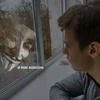 Сергей Лисов 17-183-18