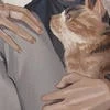 Эмили Кантвелл