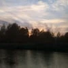 Алекс-Ф