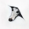Sol Hound