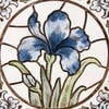 Iris_fairy