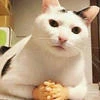 вентикоптер