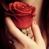 _Elvina_