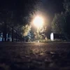 Криппи_паста