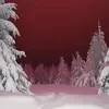 Тайхо Горький