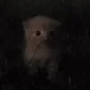 Jaaj.