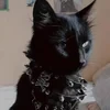 Ядерная мыльница