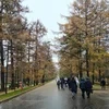 Мамина швабра