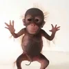 grrreta