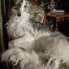 .Лиля Войнаровская