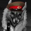 Дочь Тоши
