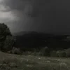 Нелестный сон