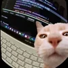 nvrmind