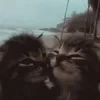 Merr_Merrl