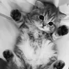 Angel_milashka2013911
