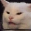 JaneCat