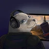 stargatefan