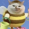 ЧЕДОВЕК КОТОРЫЙ МЕНЬШЕ АТОМА