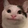 Somebody_SB
