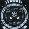 Black Cat 246
