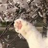 Амбассадор Ниларонов