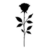 Black R