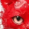 Sollaris